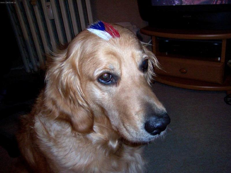 Foto: ČEŠI! DO TOHO!!!-..a hrajeme v oslabení...