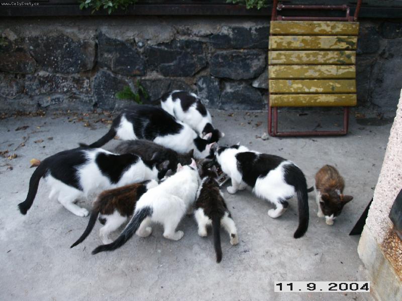 Foto: Snídaně šampionů