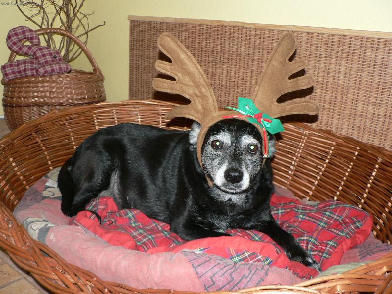 Foto: Nelinka-to mi to sluší