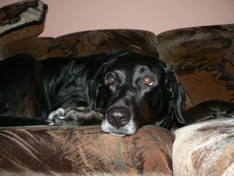 Foto: Cory-když už bude ta pohádka