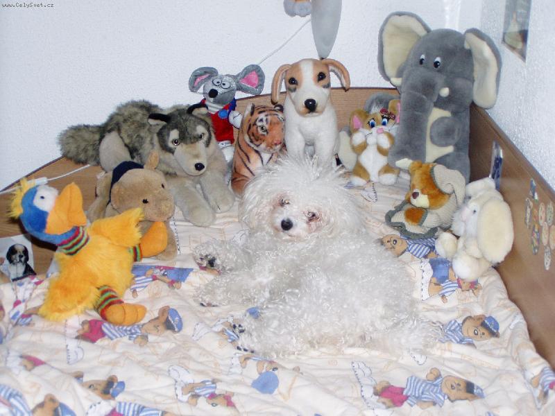 Foto: moji kamárádi-Jessinka má ráda plyšové kamarády