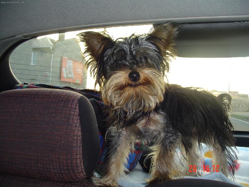 Foto: miminko-jééééé