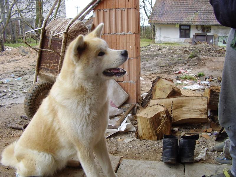 Foto: Máš ještě piškotku?