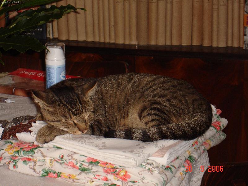 Foto: neni peřinka jako peřinka