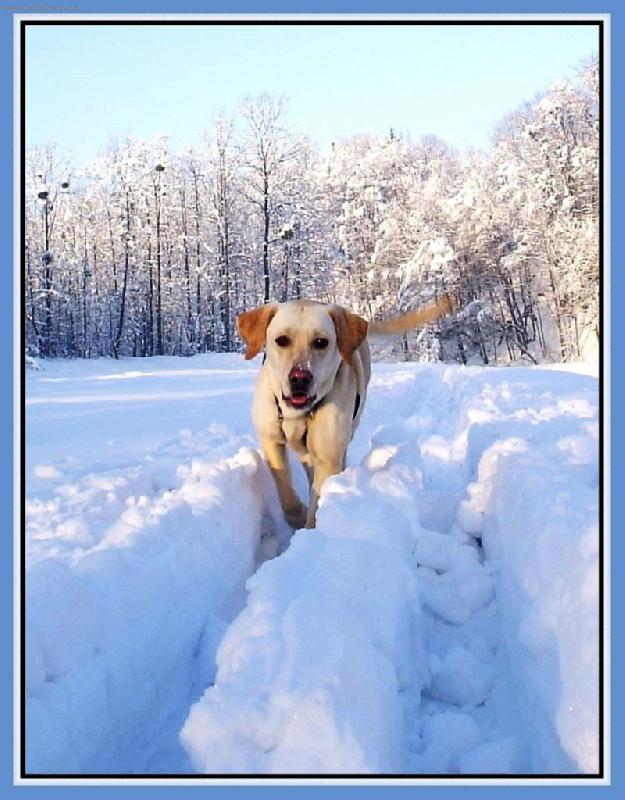 Foto: Kde ty loňské sněhy jsou