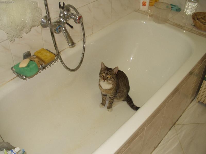 Foto: MOUREK- UMYJ MĚ