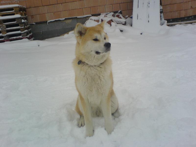 Foto: Uz je co hlídat!