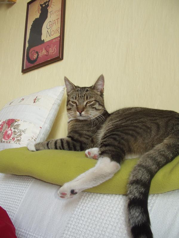 Foto: MOUREK- NEDĚLE VE STŘEDU