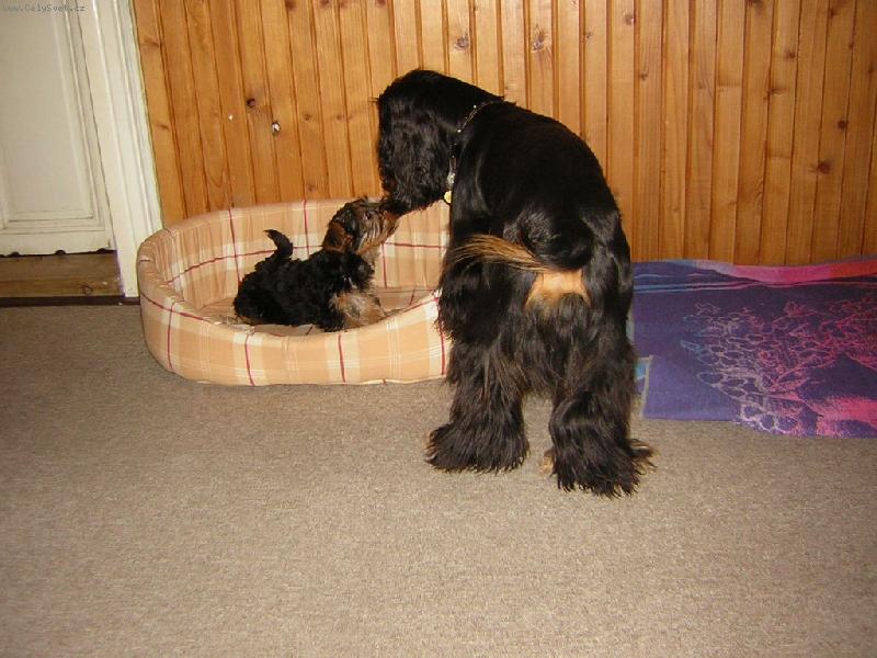 Foto: Malá princezna a krásný princ-Láska