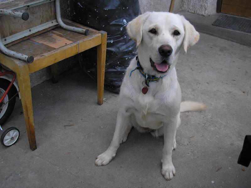 Foto: Náš miláček