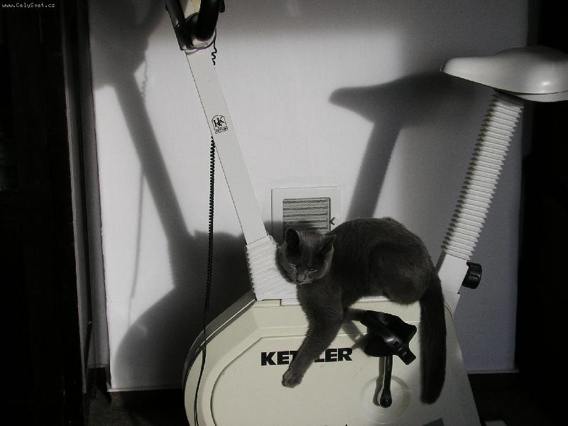 Foto: Po noém roku hubnu i já