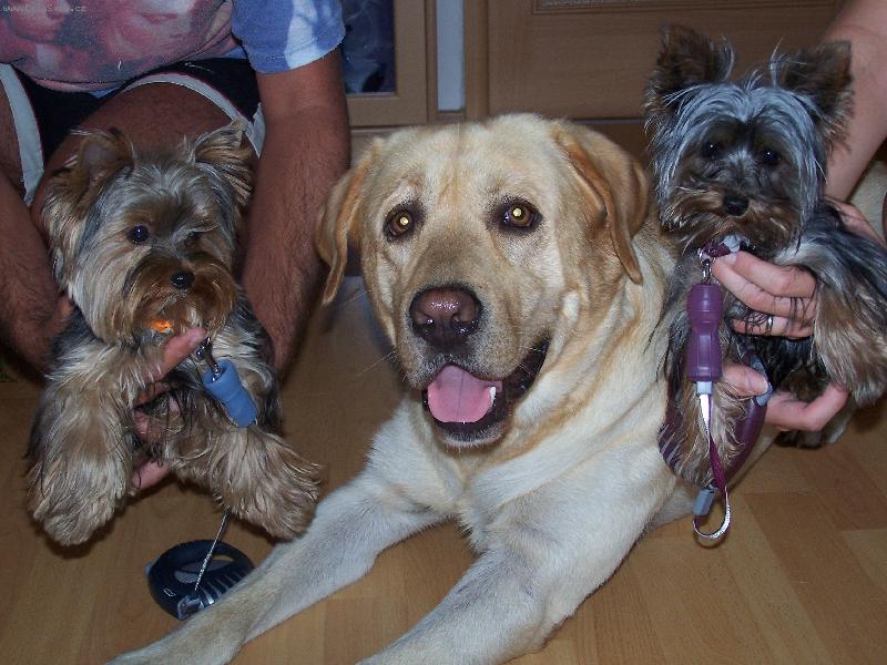 Foto: Chiko, Badík, Sára-kuk