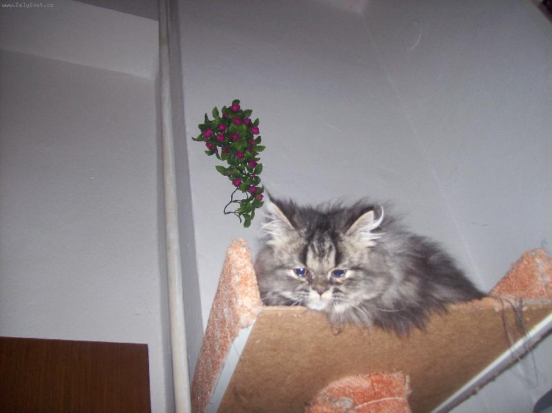 Foto: tymyjanek-jen tak se povaluji