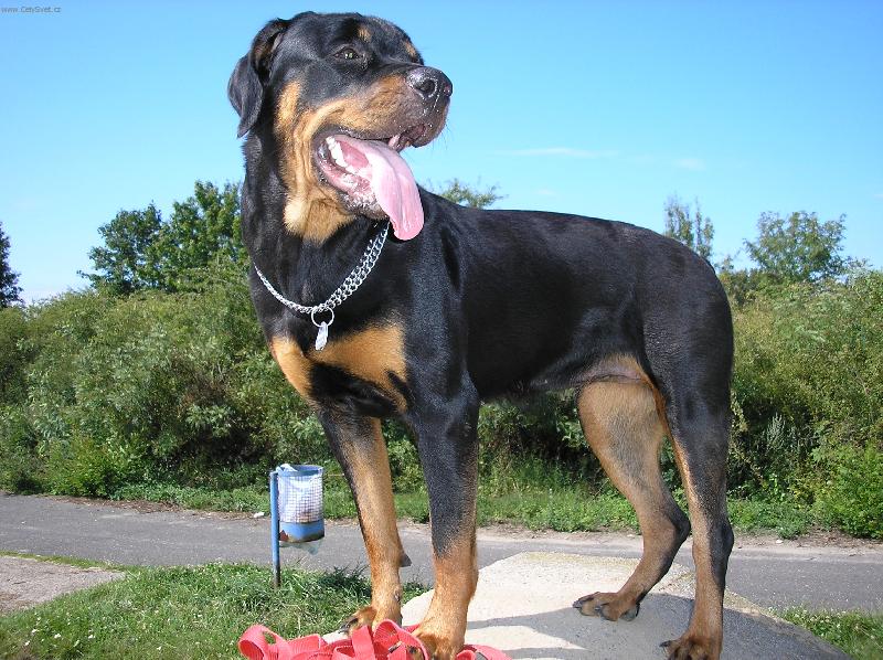 Foto: Kimmy-Jen se předvádím :))