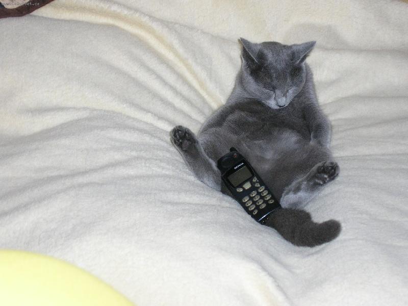 Foto: stojánek na mobil