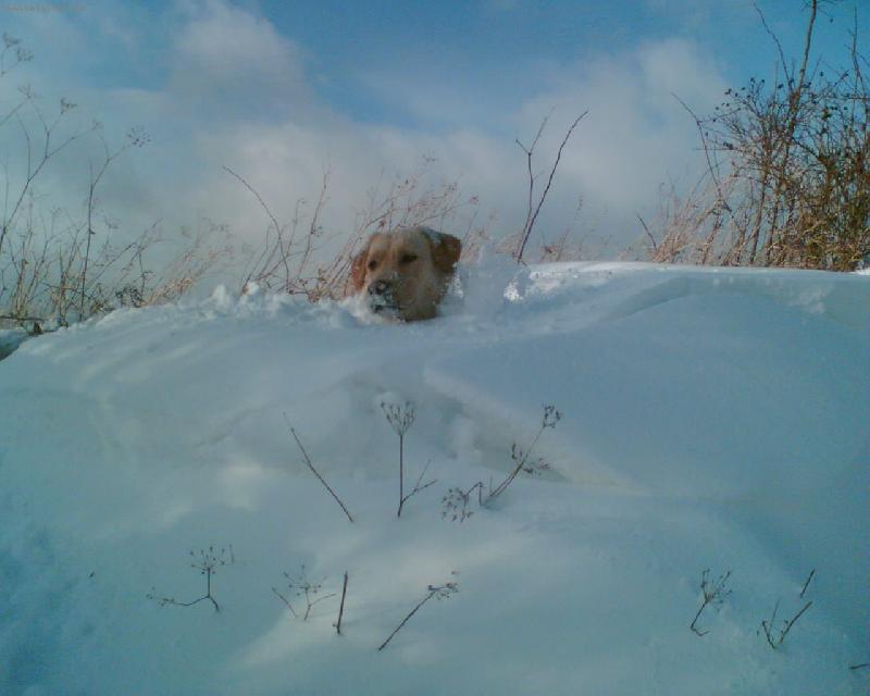 Foto: To byla, ale velká závěj sněhu!