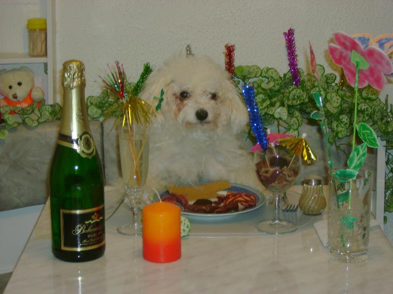 Foto: už si nabízím-mám hlad