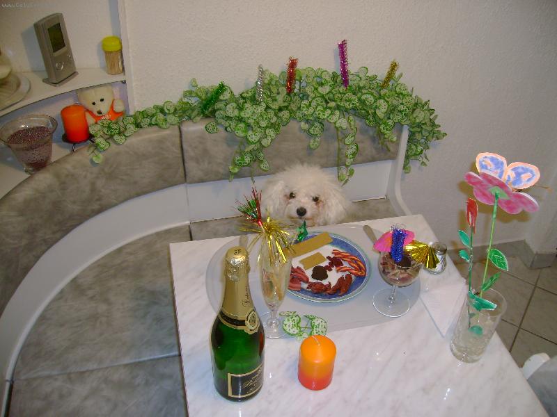 Foto: čekám na číšníka-ať už přijde chci si ještě něco objednat