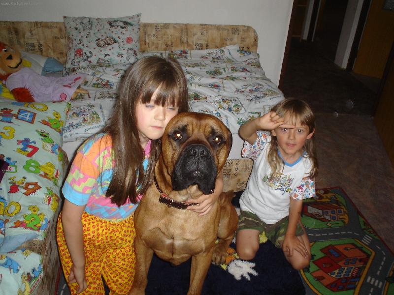 Foto: I takový pes byl útulku