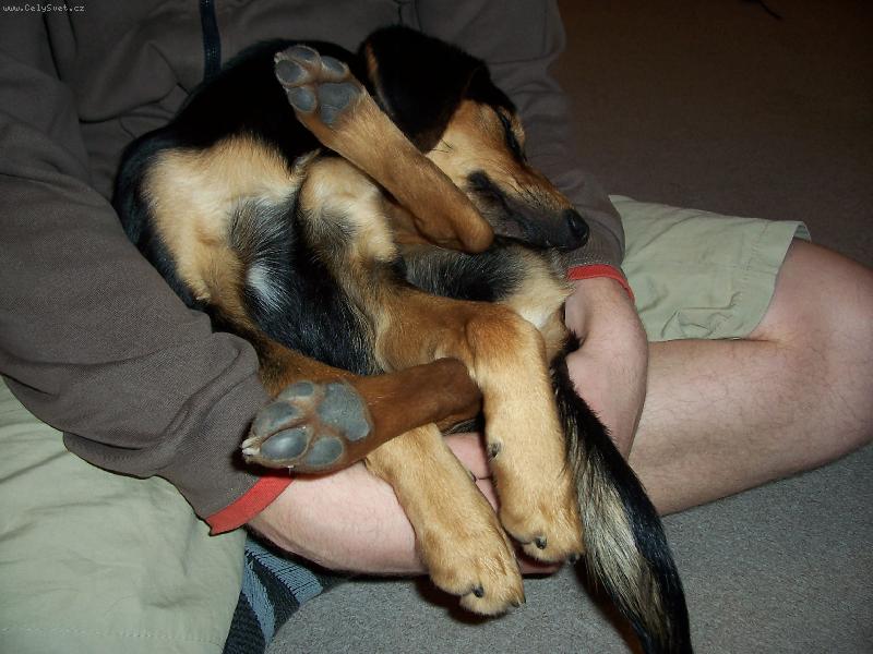 Foto: uzlíček kopov-kde je co....