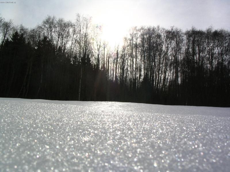 Foto: Příroda na Šumavě