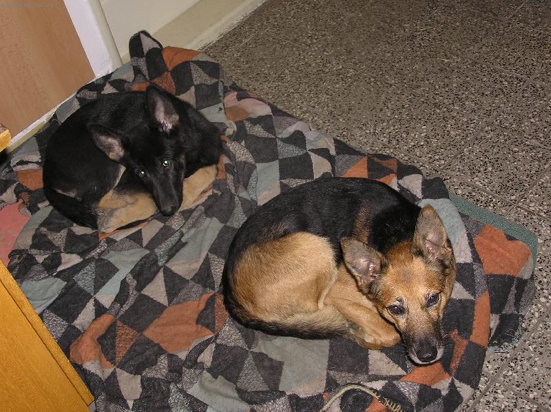 Foto: Matýsek (10let) + Terezka (4 měsíce)-Synchronizovaná únava...