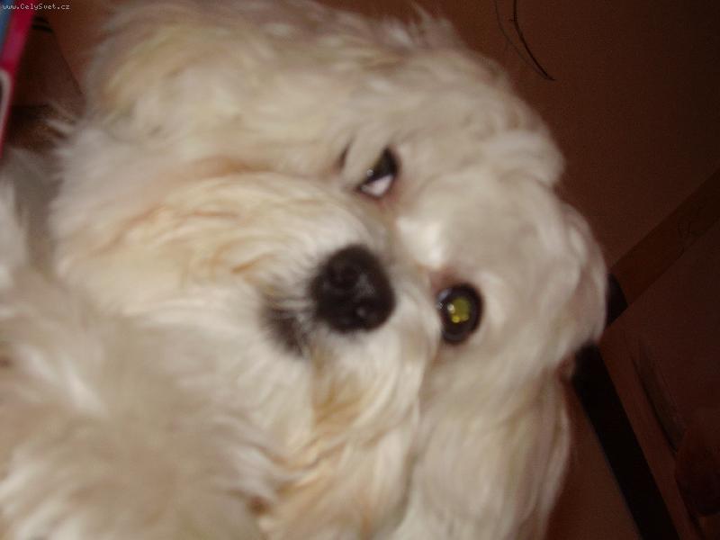 Foto: moje malá lásečka:-)