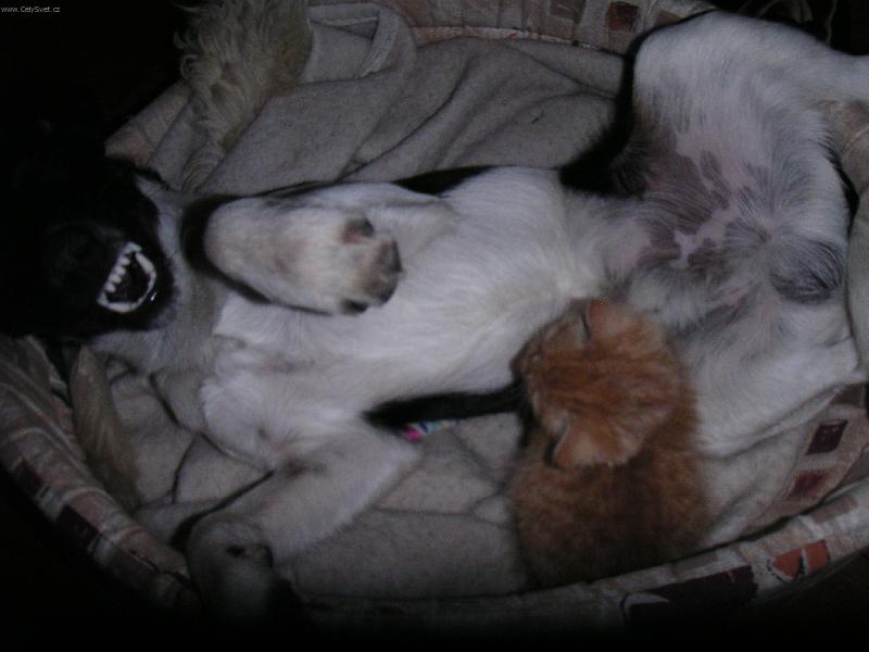 Foto: Já mám hlad!-To asi nebude ono!?