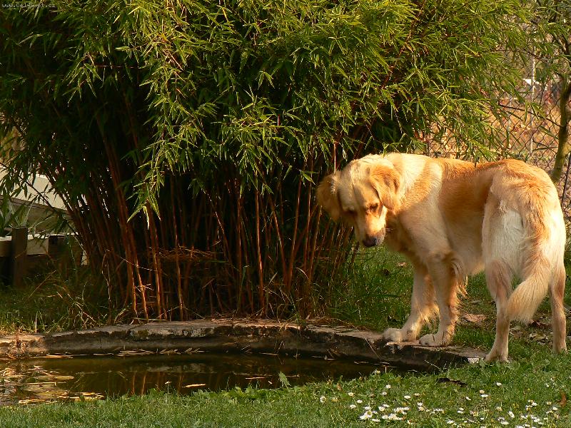 Foto: lovení rybiček