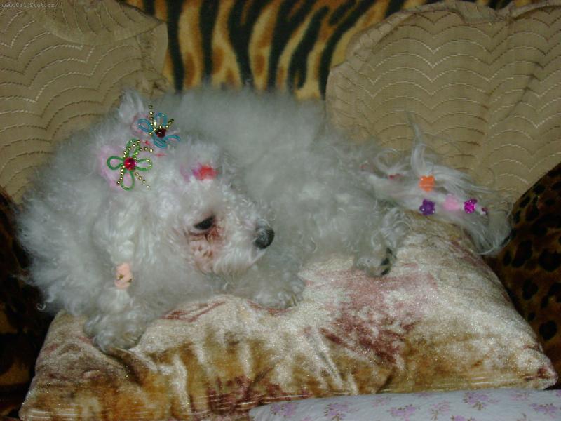 Foto: Jsem nastrojená-Tak takhle se já strojím.