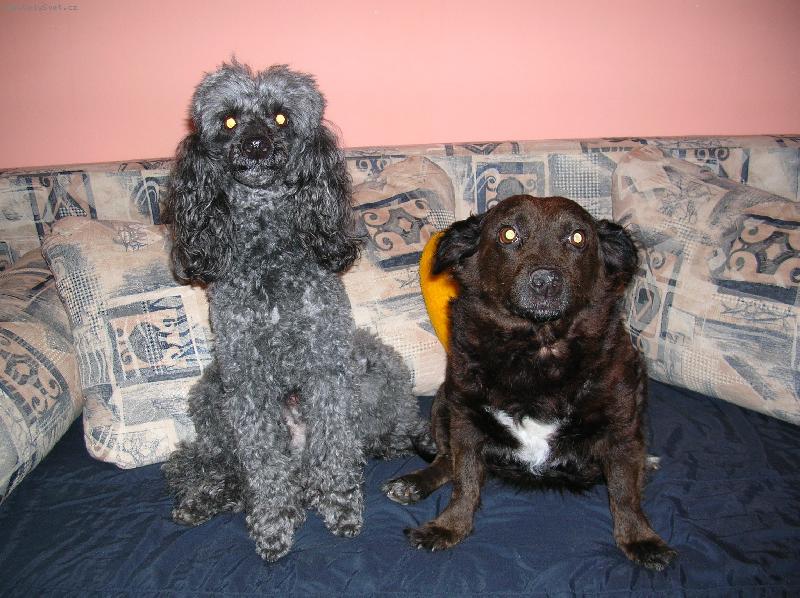 Foto: RAFANI... :-D-Rony a Mišutka