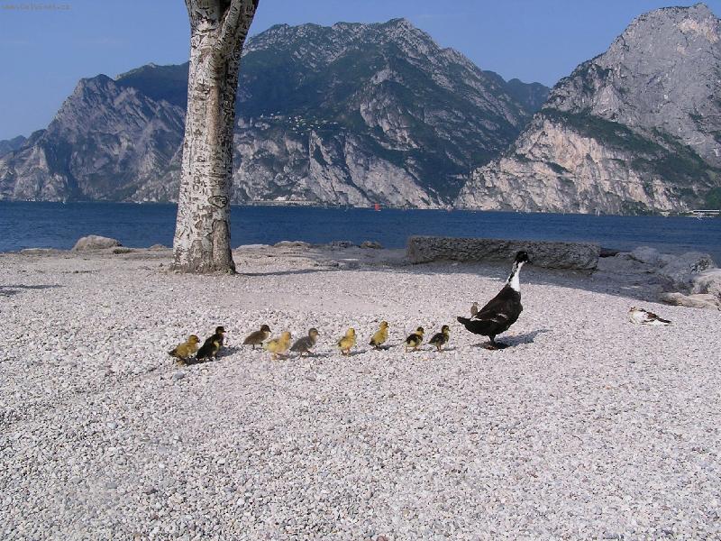 Foto: Rodinná procházka