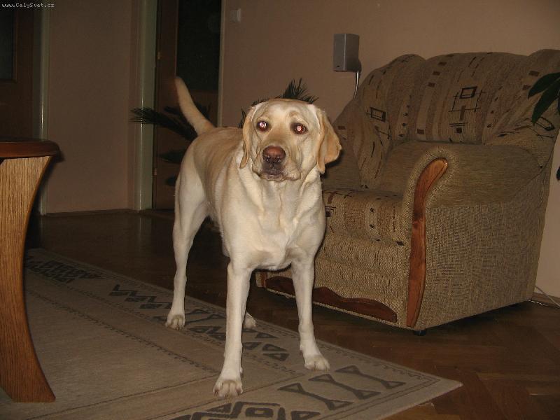 Foto: Meginka se rozčiluje