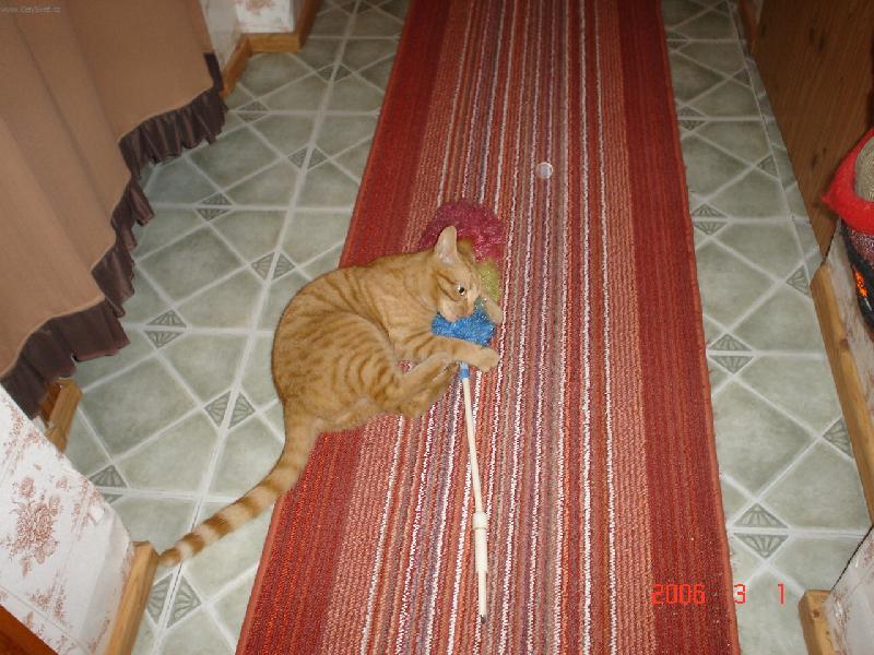 Foto: Honzík-Tak a žádný oprašování už nebude.......