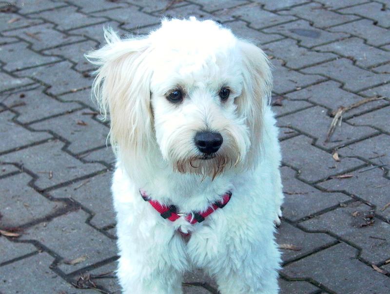 Foto: Na čekané.-dtto