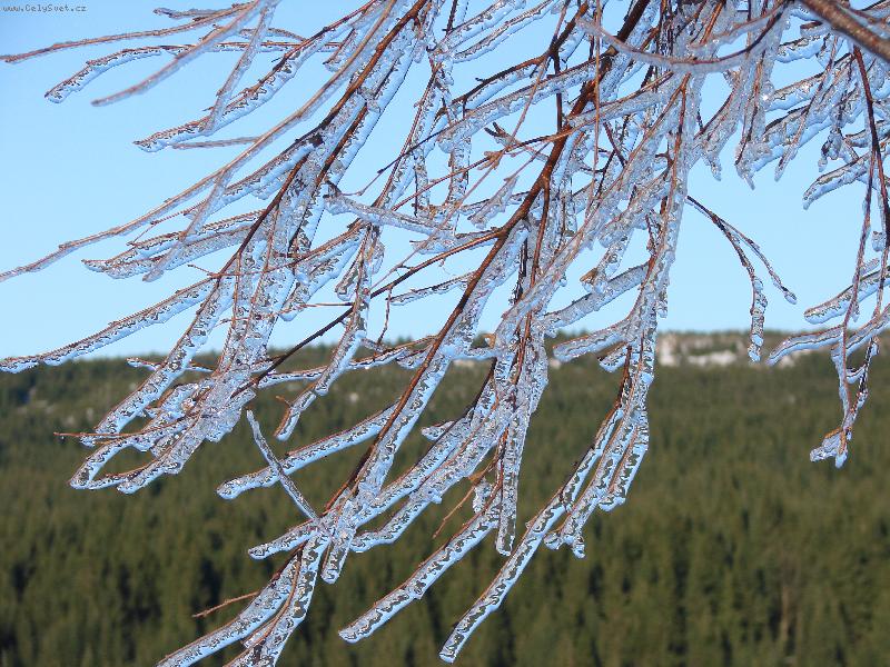 Foto: přeci mrzlo