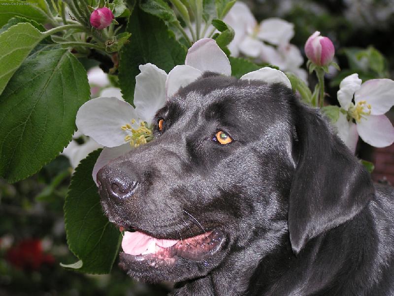 Foto: Brituška-Kvítek