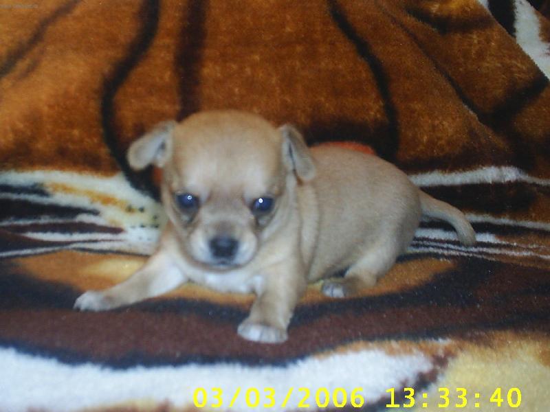 Foto: 25 dní na světě.