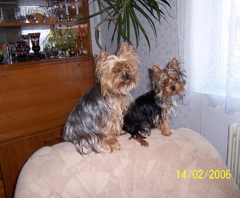 Foto: Jennny a Sendy-Přijede už konečně ta panička?