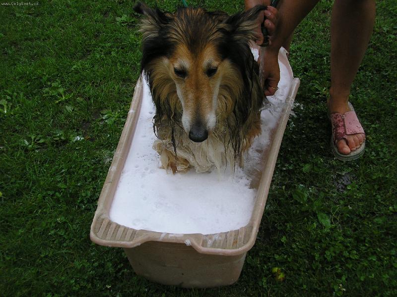 Foto: Nemám rád vodu
