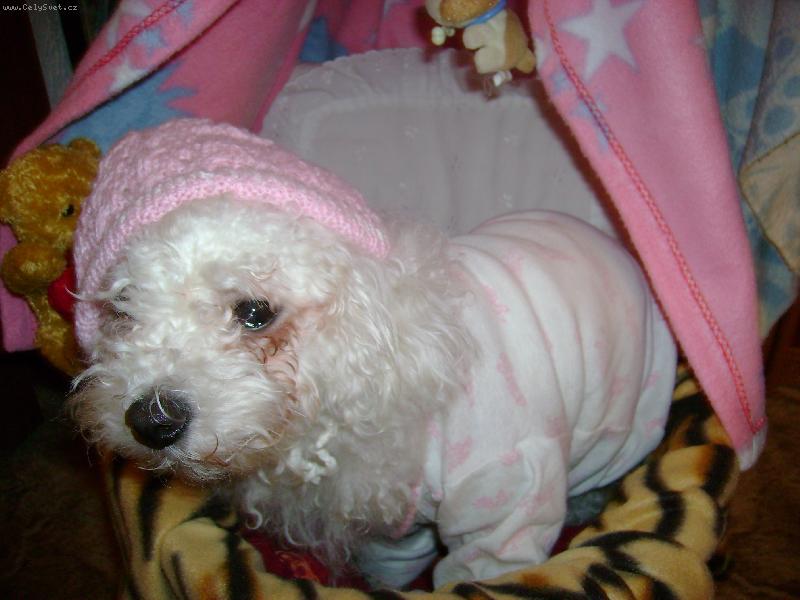 Foto: Naše malé miminko