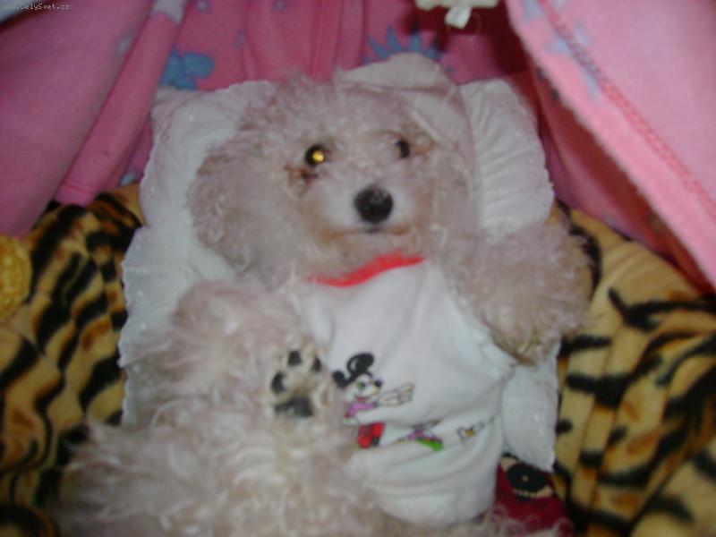 Foto: spinkám v postýlce