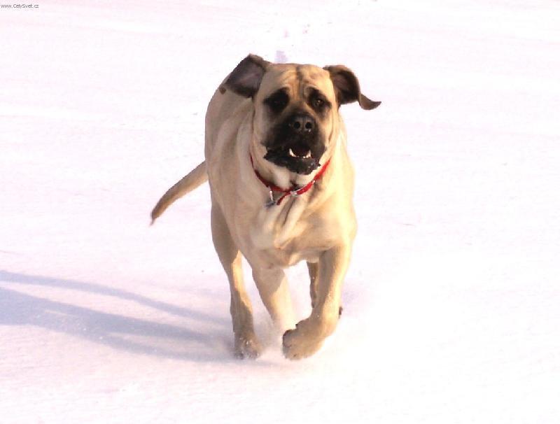 Foto: ještě jednou Terezka!