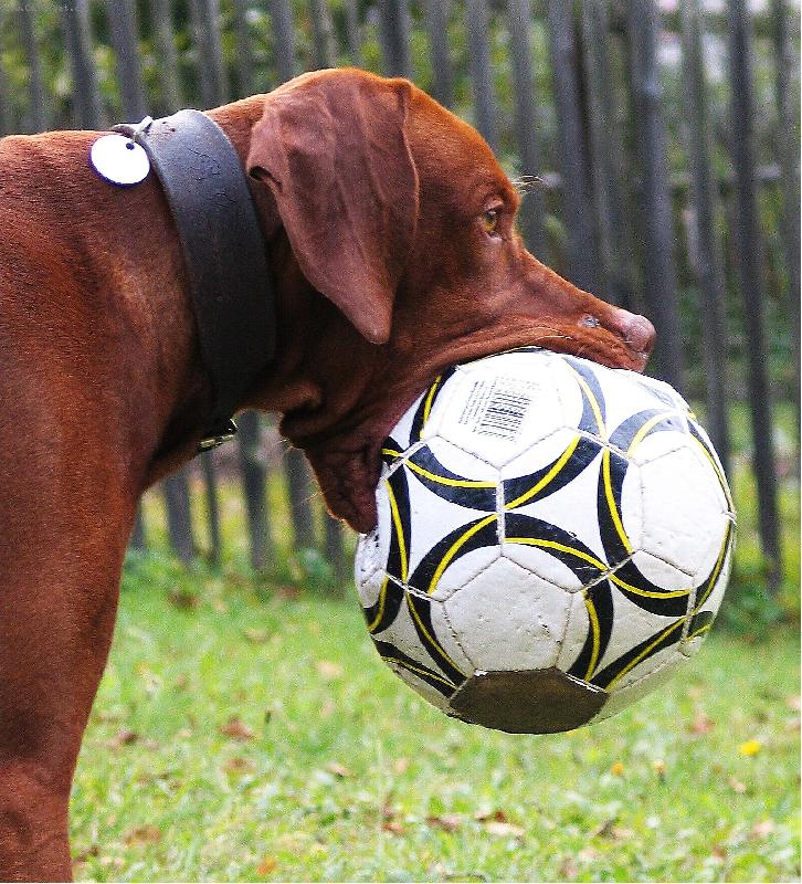 Foto: Fotbalista začátečník aneb příliš velké sousto
