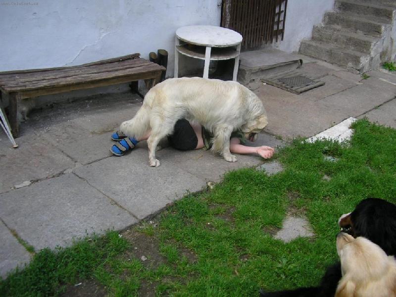 Foto: Nezvyklý oběd-Když má někdo hlad.....tak není co řešit ;)