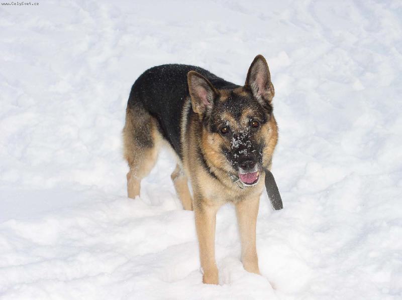 Foto: Kde ty loňské zimy jsou...