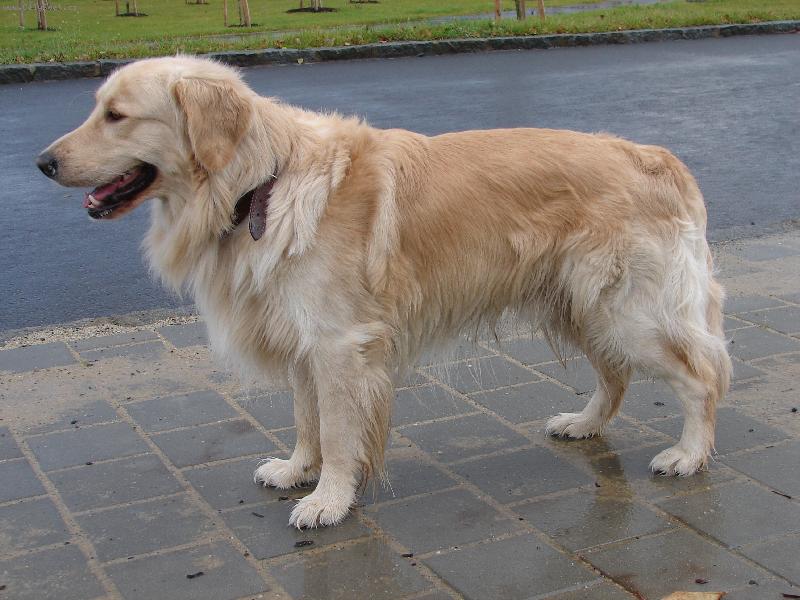 Foto: Arki-v celé své kráse