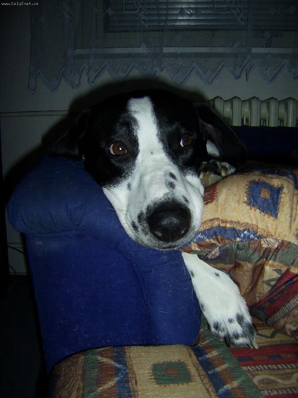 Foto: Endík-Hajinky