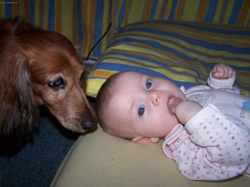 Foto: A ty jsi nějaké nové štěňátko?