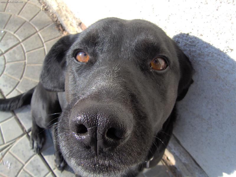 Foto: bonča-co mi dáš?